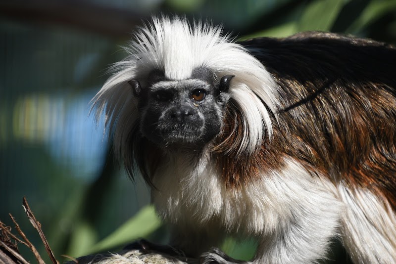 Natureland Zoo