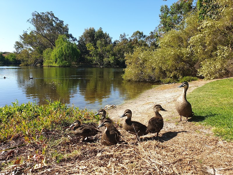 Neil McDougall Park photo 2