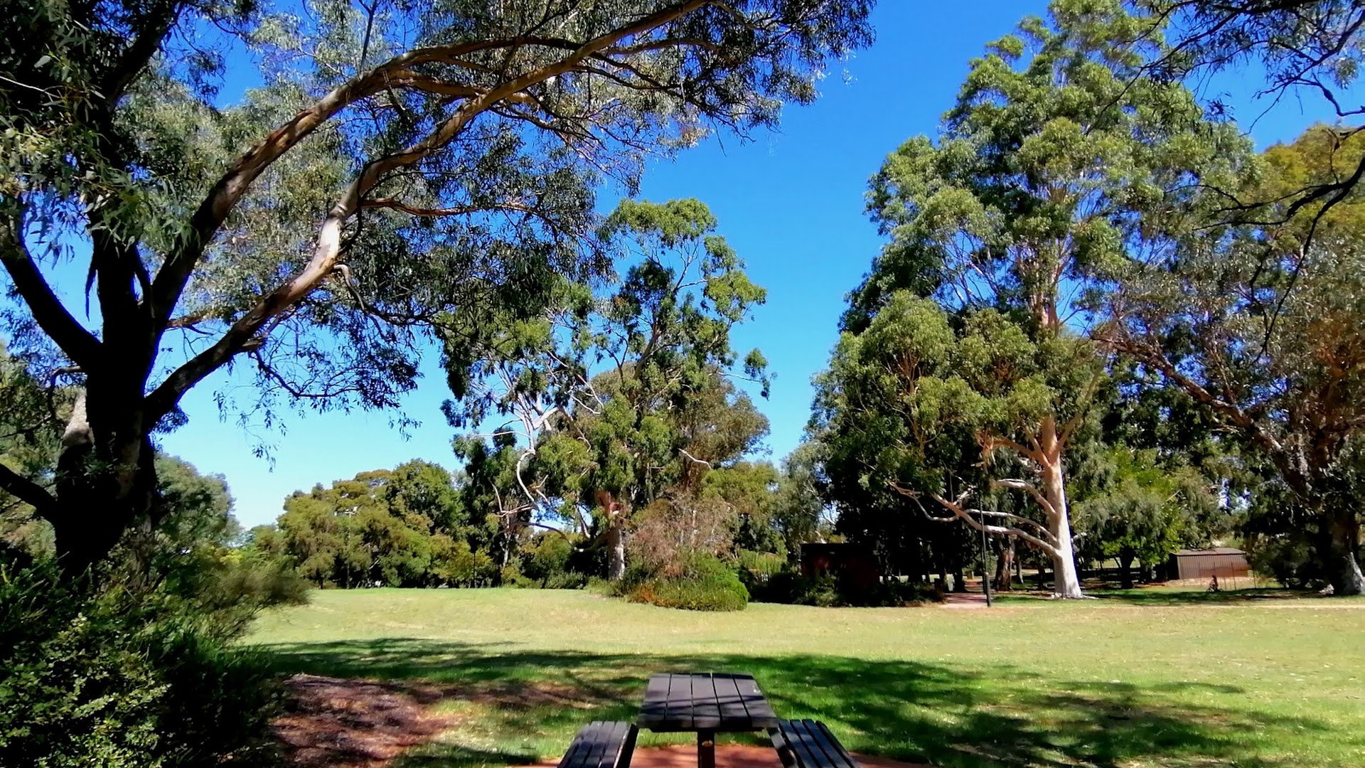 Neil McDougall Park