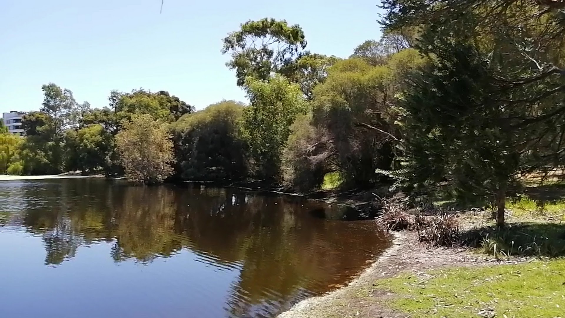 Neil McDougall Park photo 2