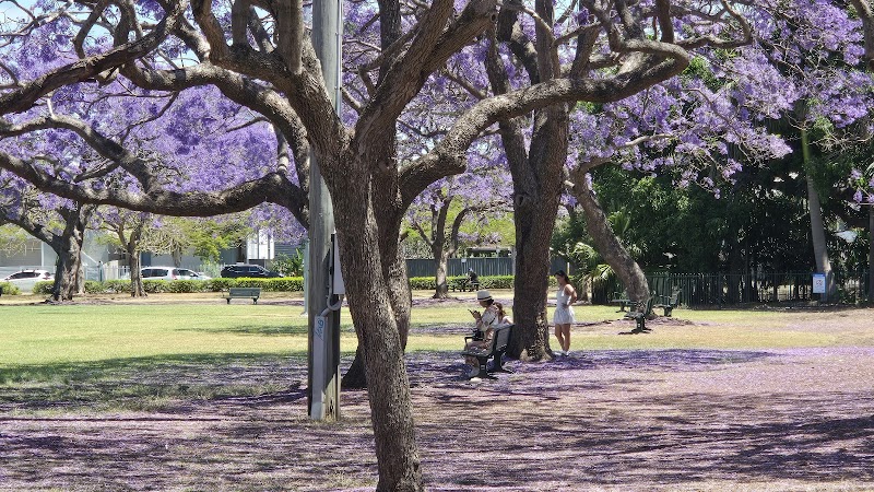 New Farm Park photo 2