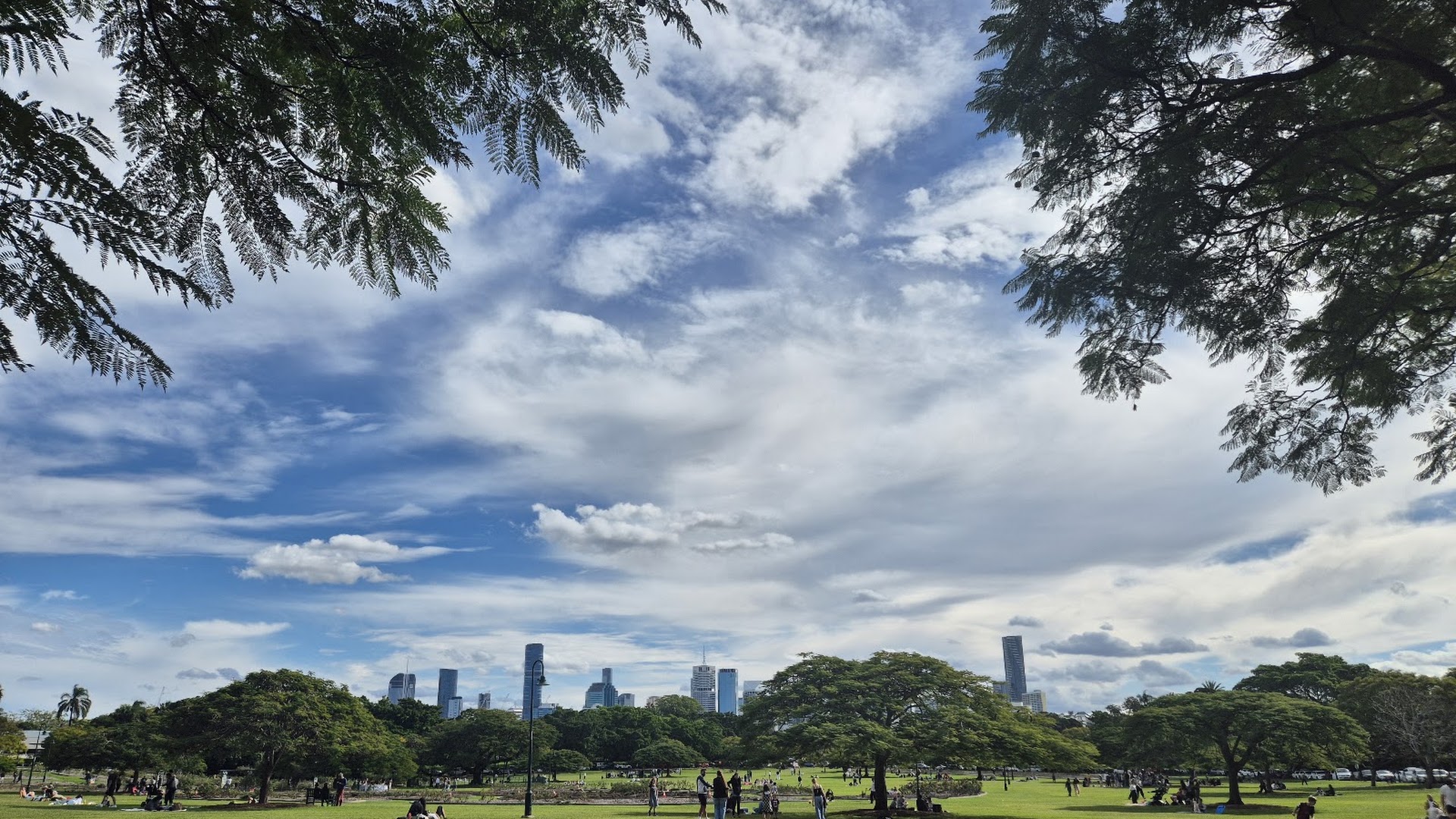 New Farm Park
