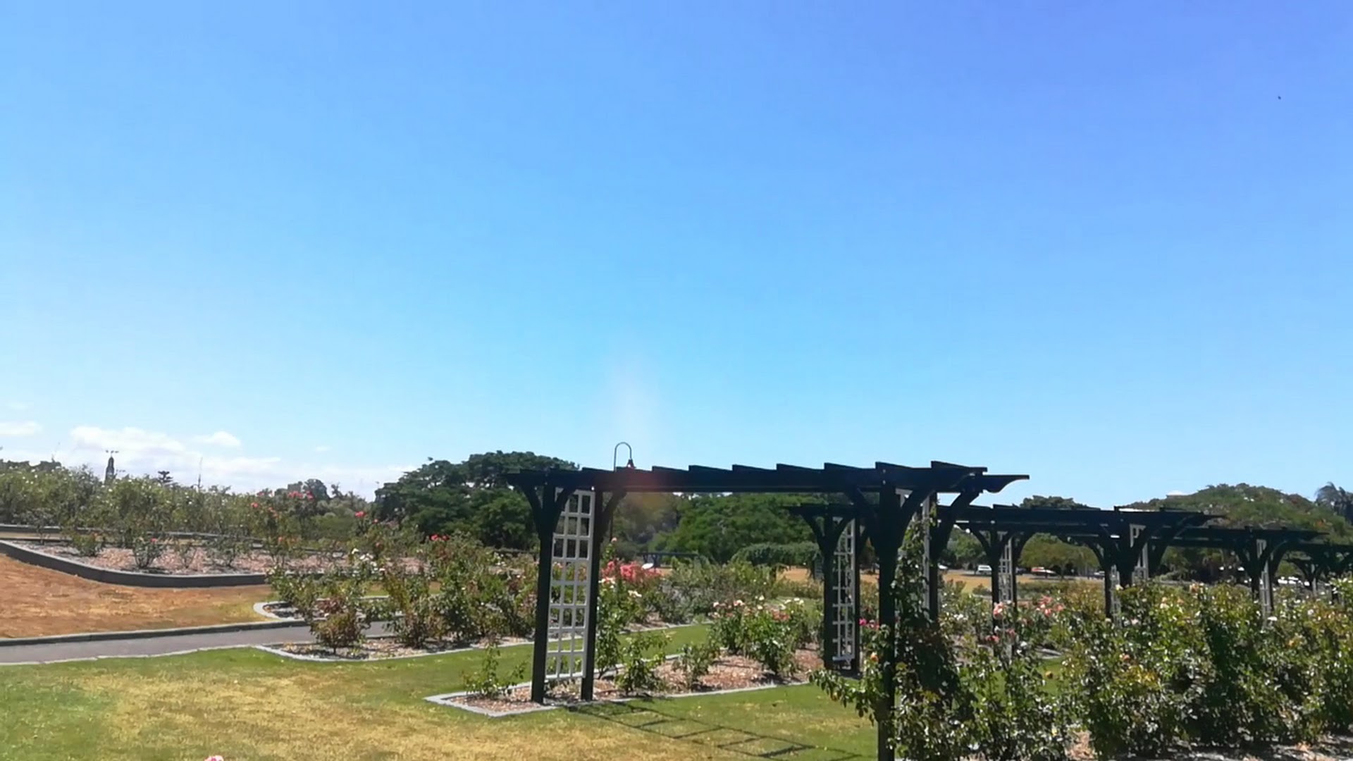 New Farm Park photo 3