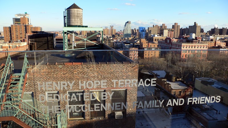 New Museum photo 2