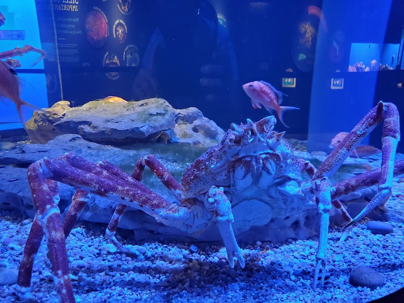 New York Aquarium Education Department