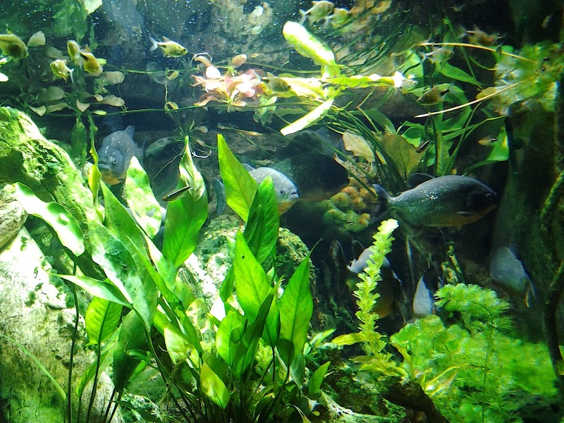 New York Aquarium Education Hall photo 2