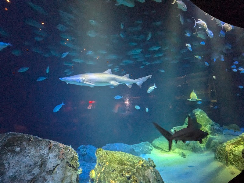 New York Aquarium photo 2