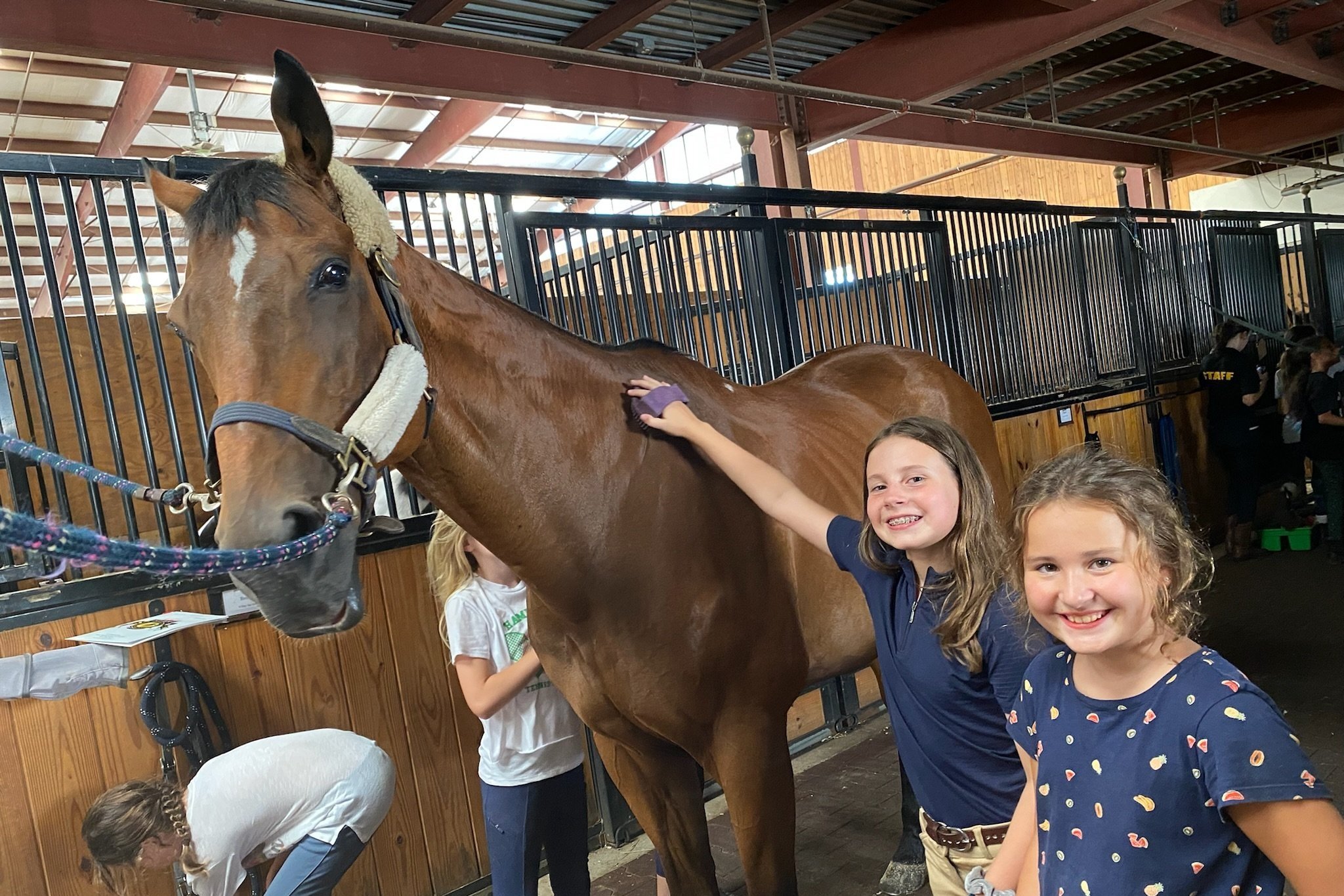 New York Equestrian Center