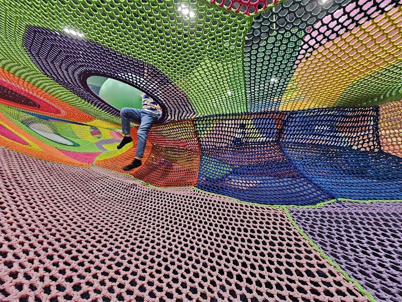 Next Level Play Center photo 2