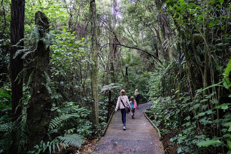 Nga Manu Nature Reserve photo 3