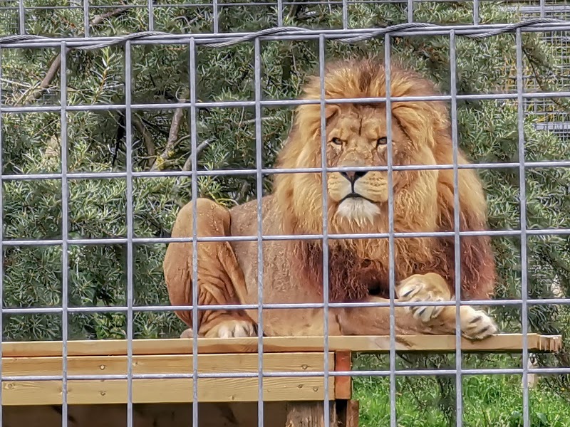 Noah's Ark Zoo Farm photo 3