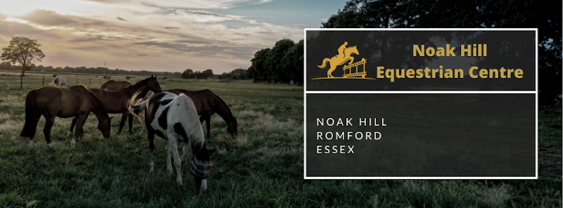 Noak Hill Equestrian Centre