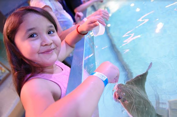 NorCal Aquarium & Wildlife
