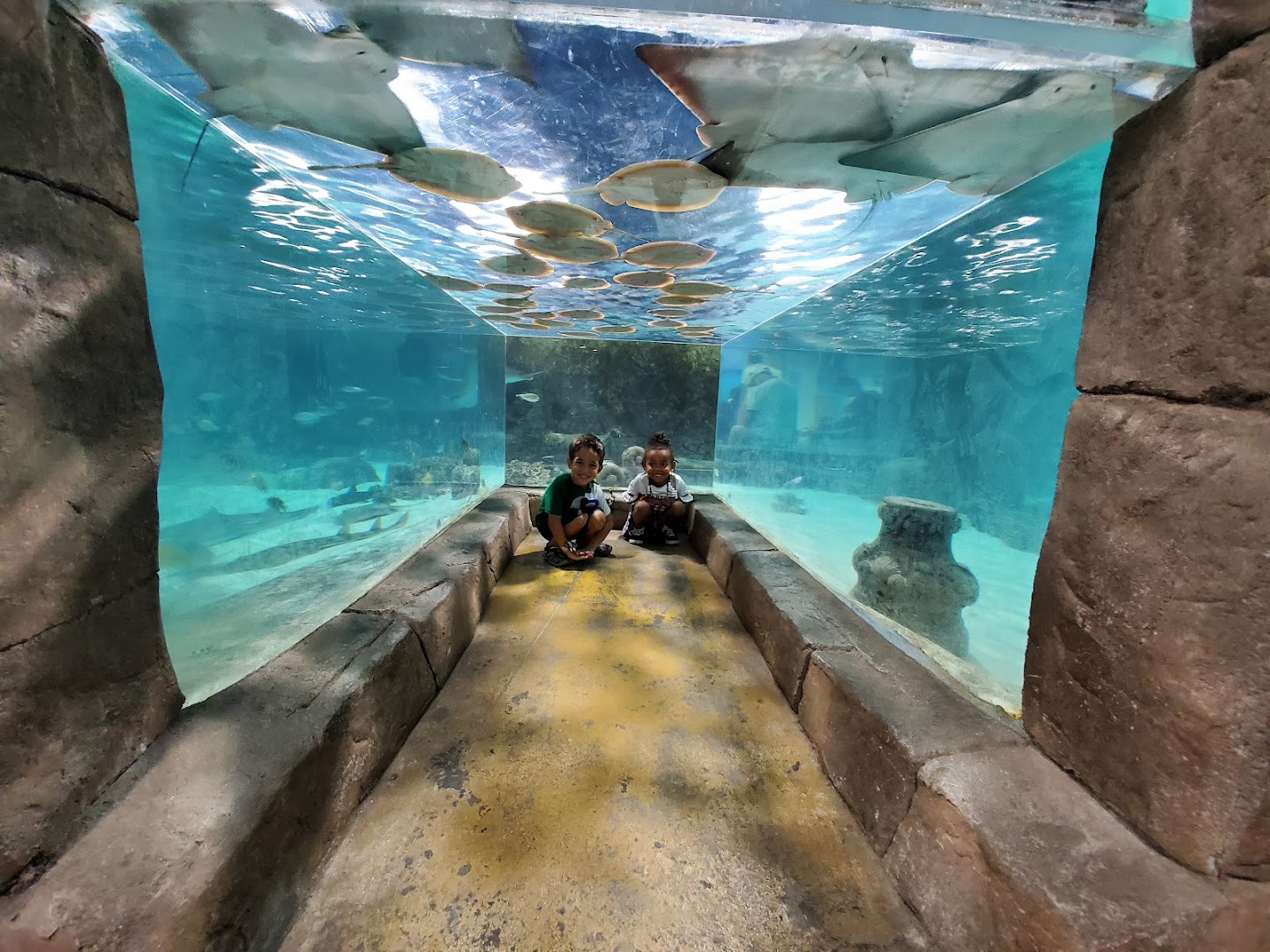 NorCal Aquarium & Wildlife photo 2