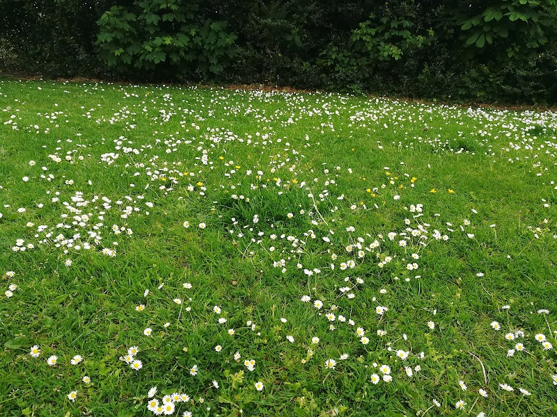 Norris Bank Playground