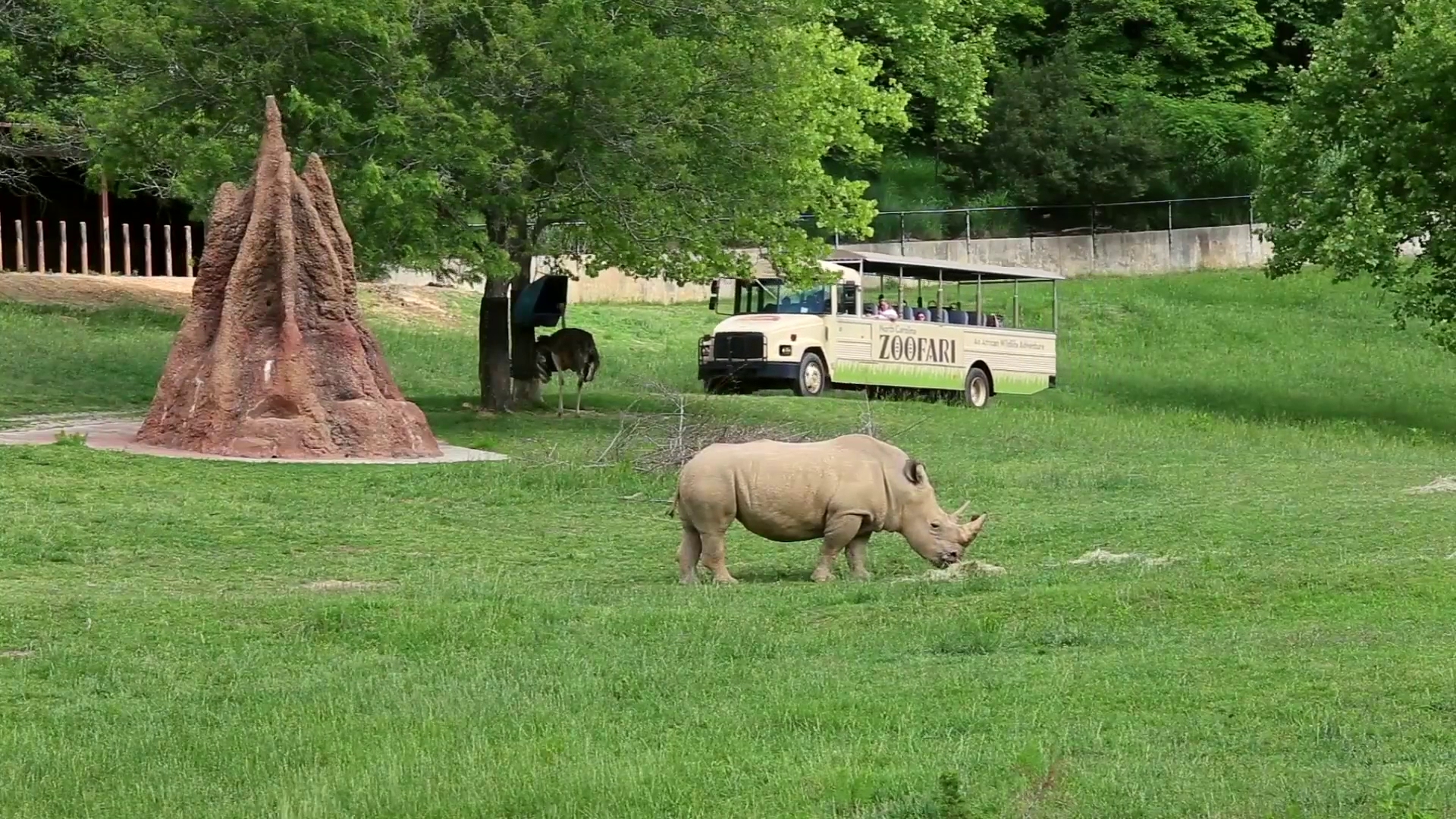 North Carolina Zoo photo 2