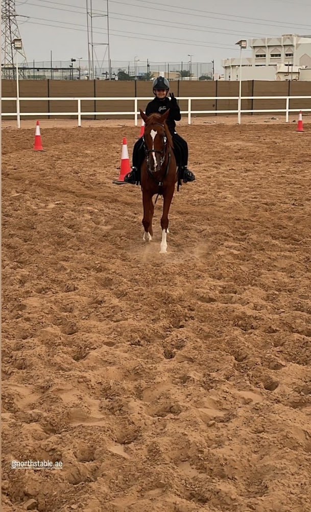 North Stable - نادي نورث للفروسية photo 2