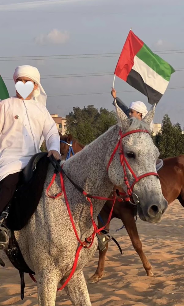 North Stable - نادي نورث للفروسية photo 4