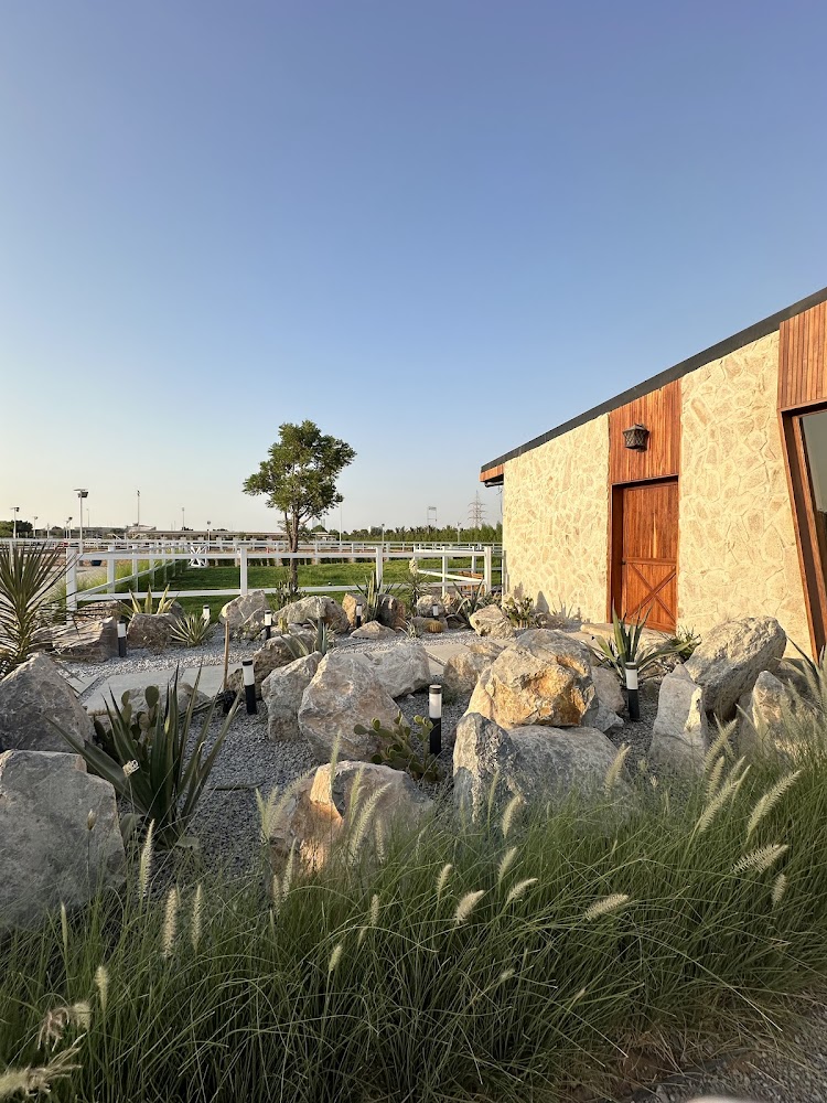 North Stable - نادي نورث للفروسية photo 5