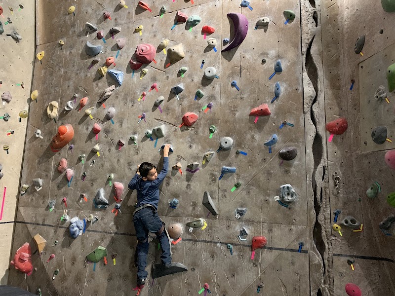 North Wall Rock Climbing Gym