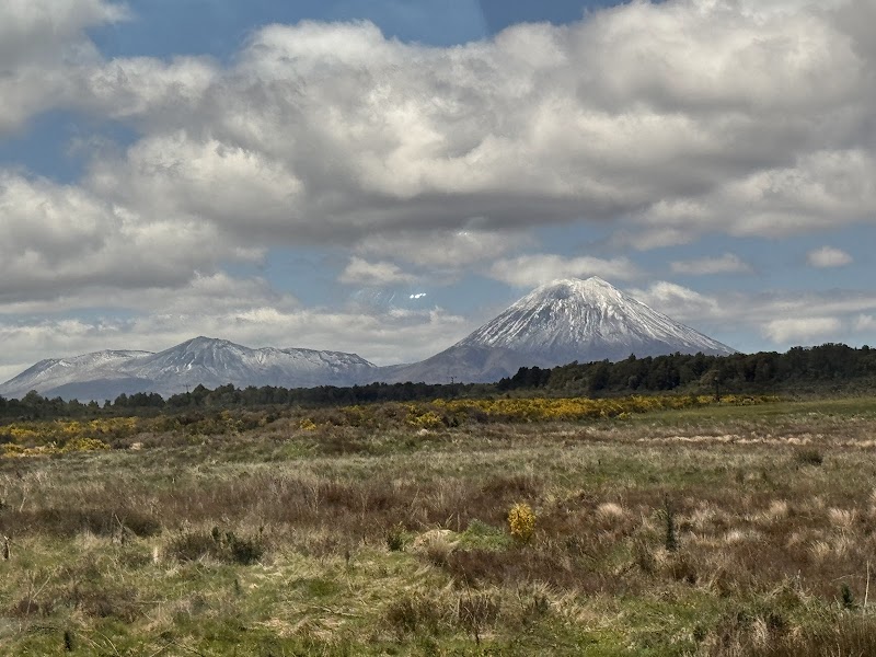 Northern Explorer: Wellington photo 2
