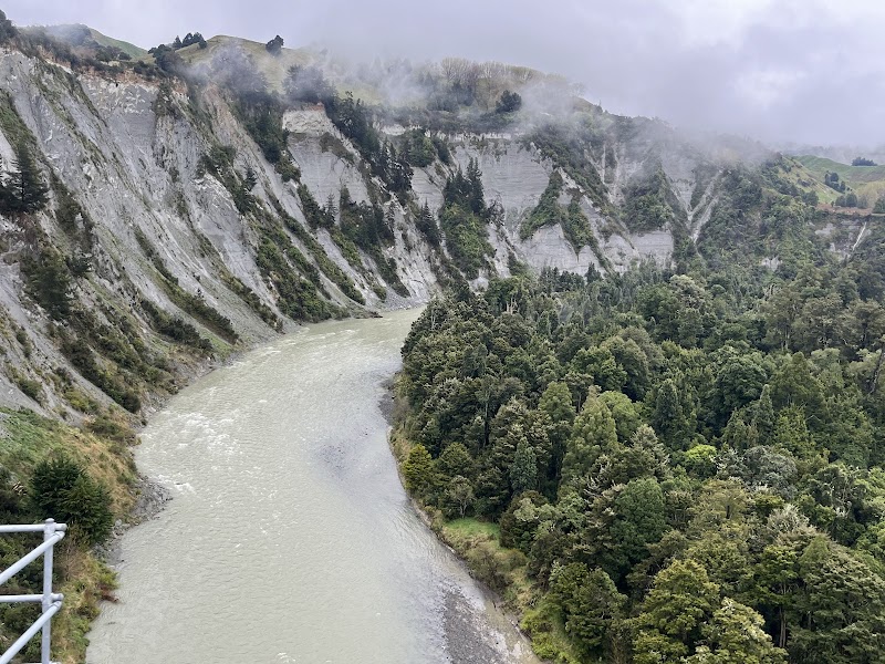 Northern Explorer: Wellington photo 3