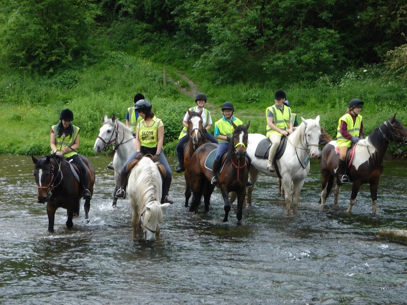 Northfield Farm Riding and Trekking Centre