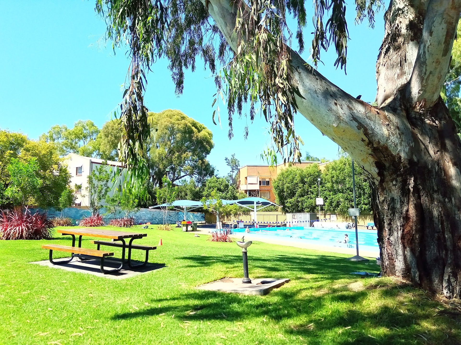 Norwood Swimming Centre photo 3