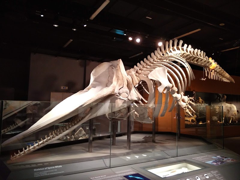 NUS Museum photo 3