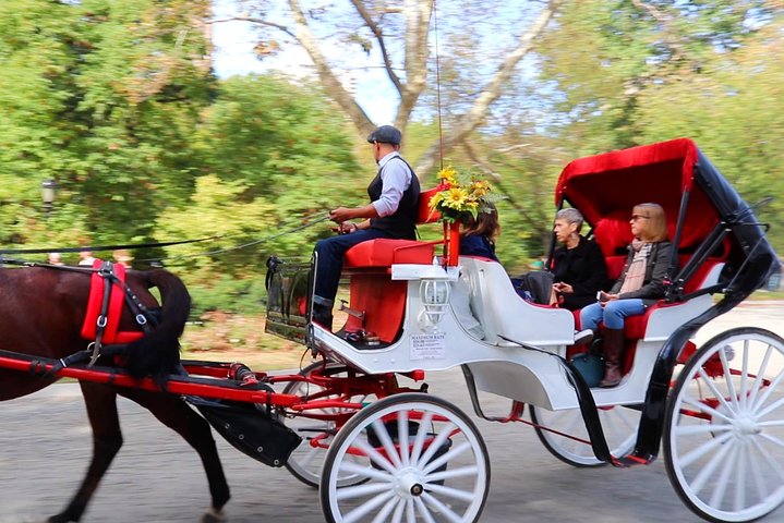 NYC Adventures - Central Park Horse Carriage Rides