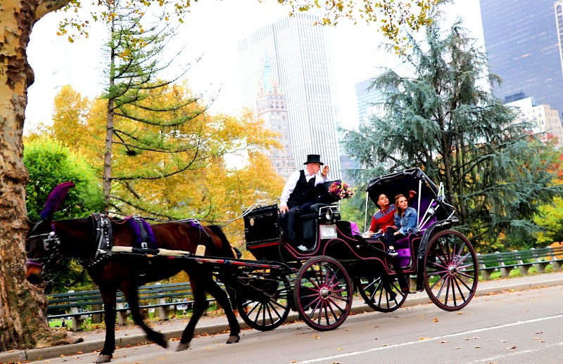NYC Adventures - Central Park Horse Carriage Rides photo 2