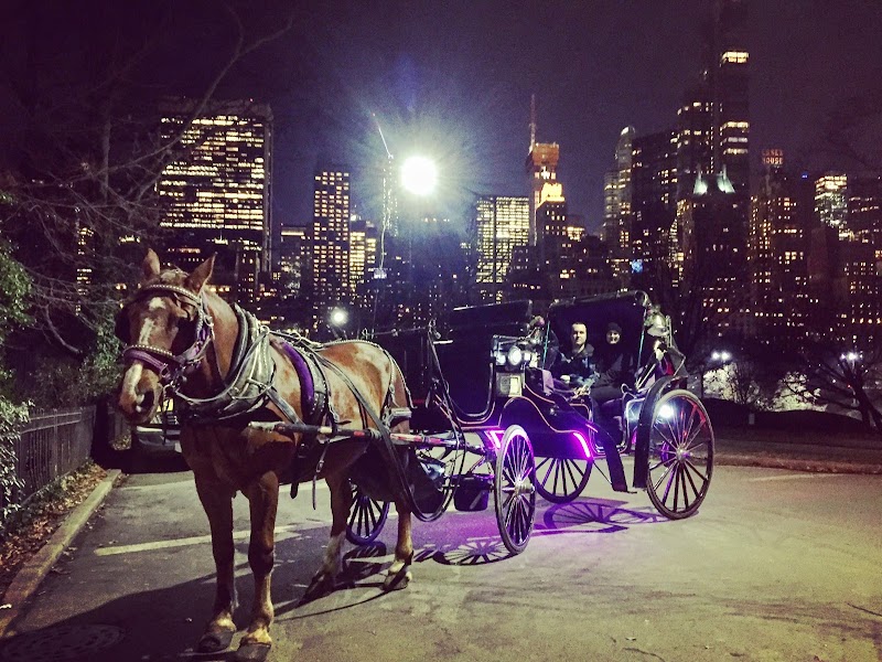 NYC Adventures - Central Park Horse Carriage Rides photo 3