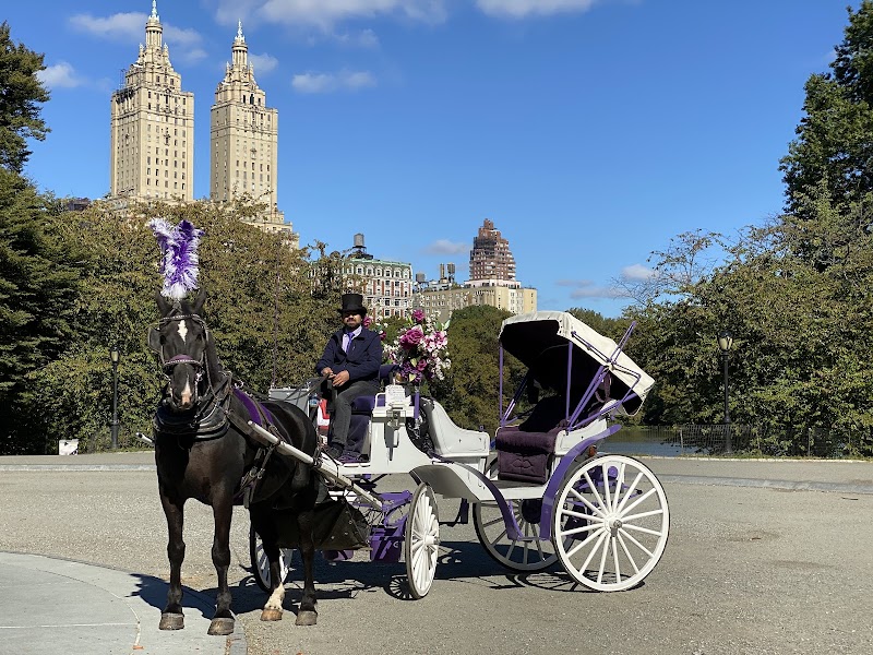 NYC Central Park Horse Carriage Rides since 1858.