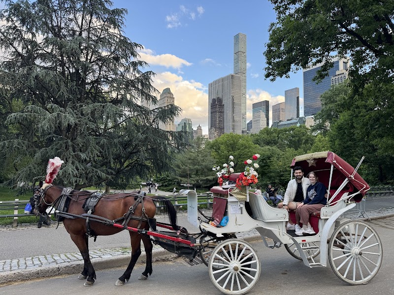 NYC Horse & Carriage Ride - Official Central Park Tours