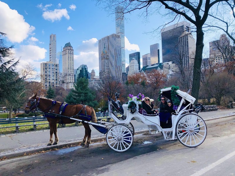 NYC Horse Carriage Rides EST.1979