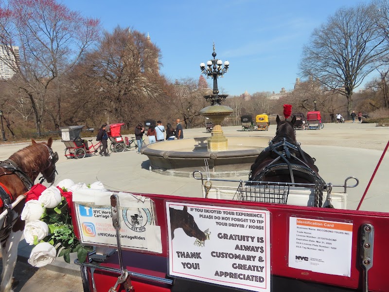 NYC Horse Carriage Rides EST.1979 photo 2