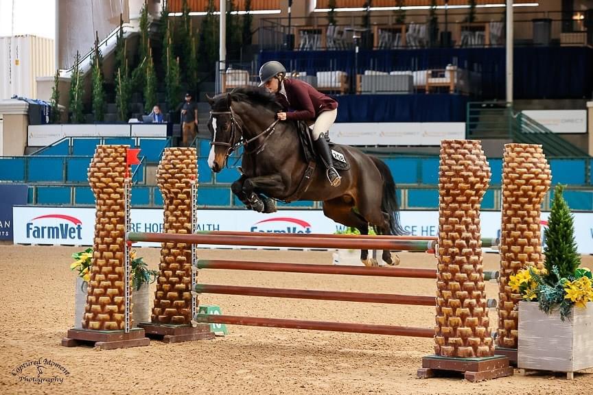 Oak Canyon Equestrian Center photo 3