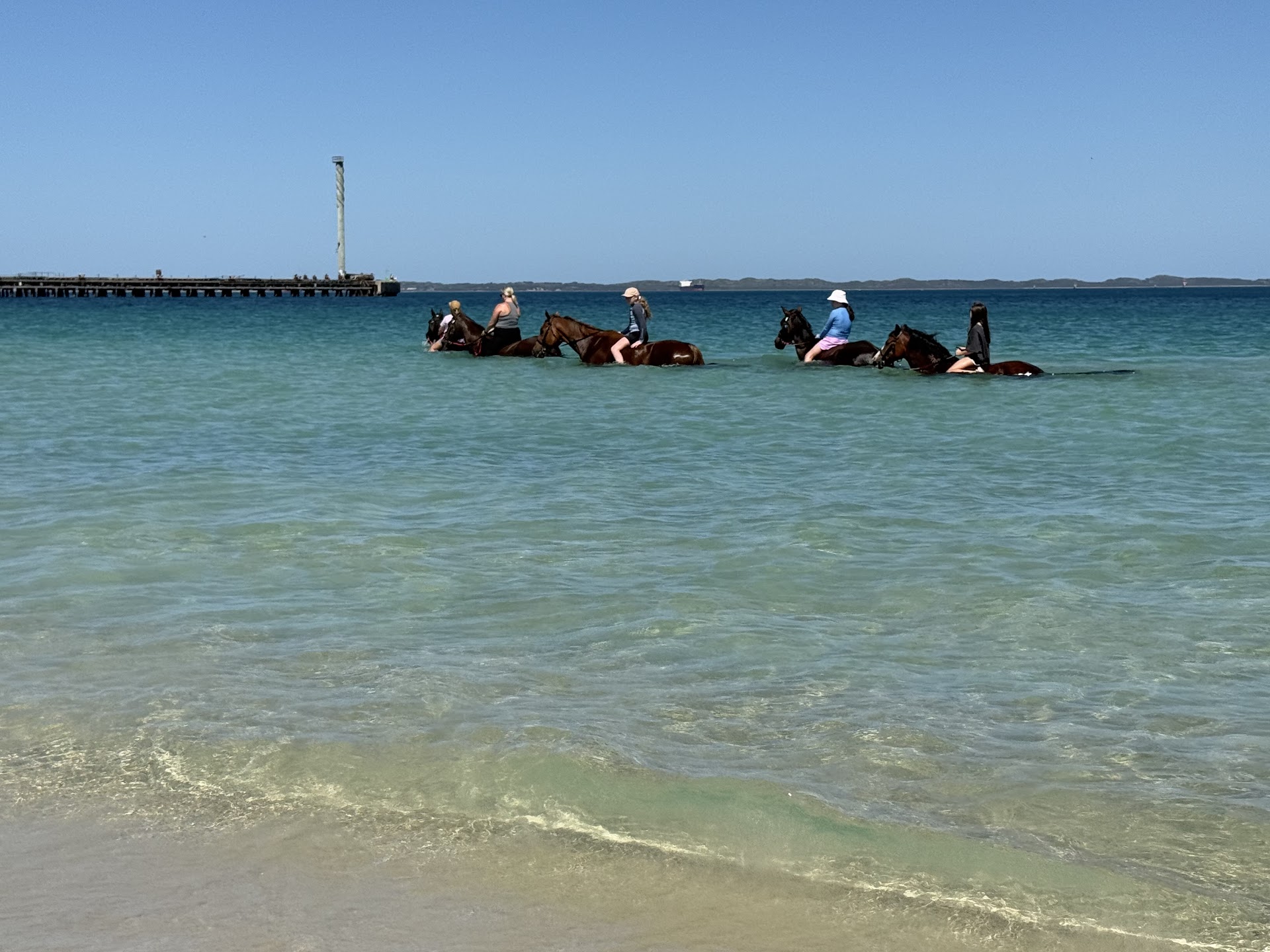 Oakford Equestrian Centre photo 2