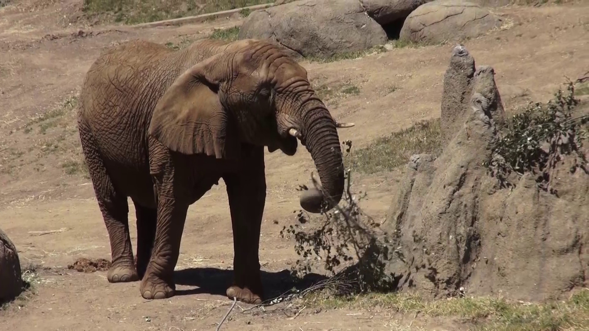 Oakland Zoo photo 2