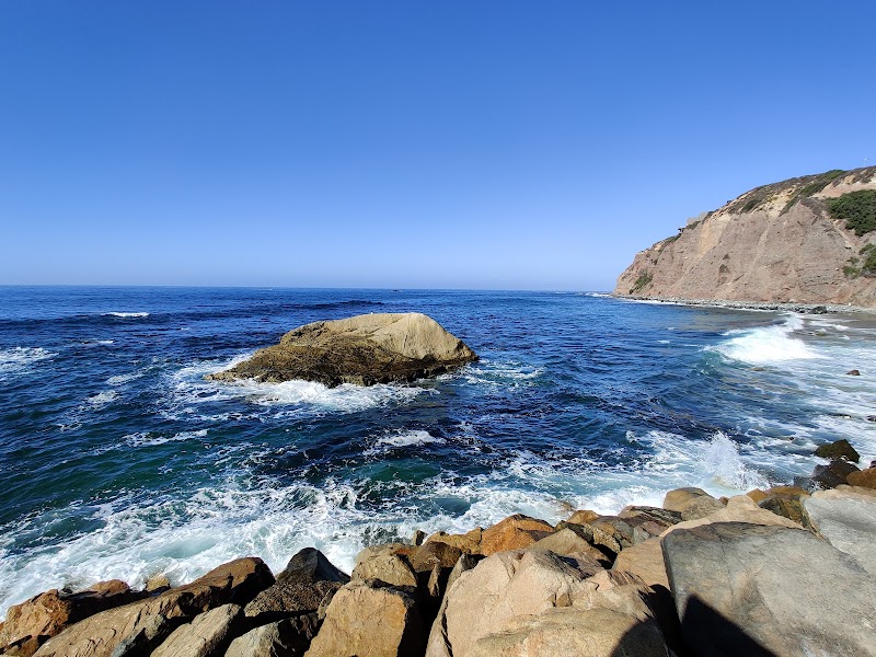 Ocean Institute photo 3