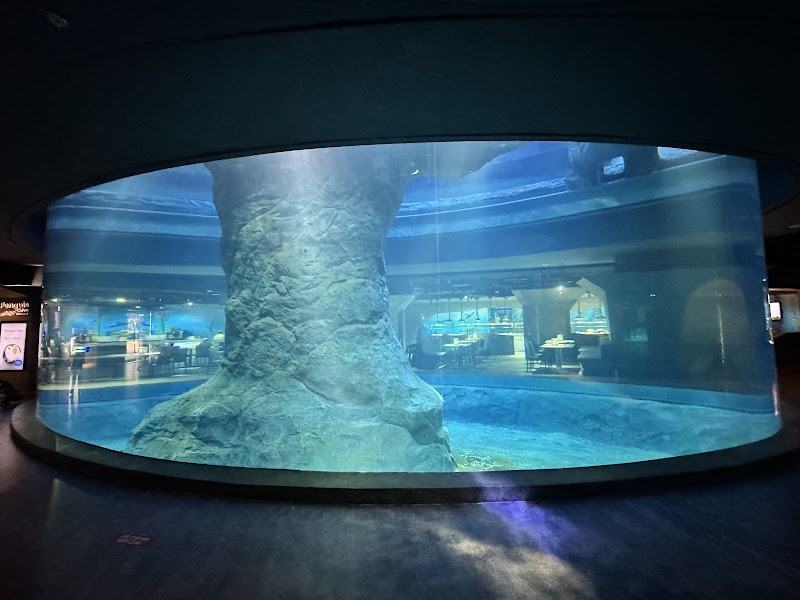 Ocean Network Express Penguin Cove