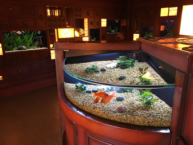 Ocean Park Amazing Asian Animals