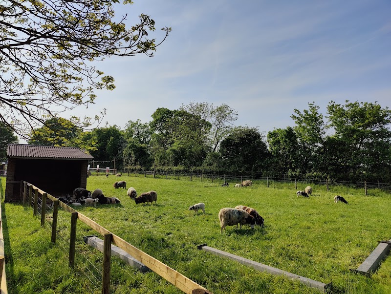 Odds Farm Park photo 2
