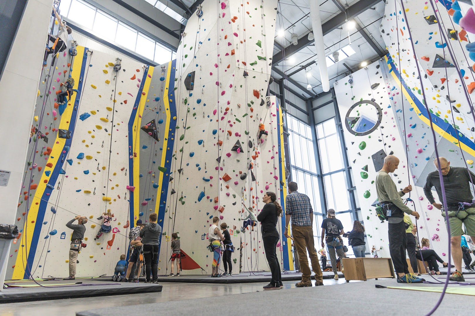 Odyssey Climbing + Fitness