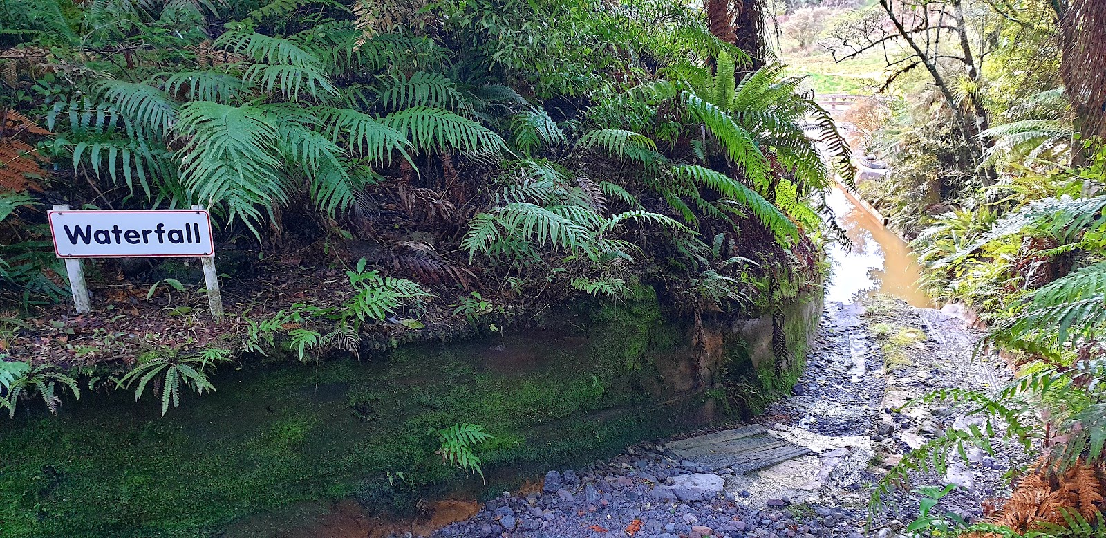 Off Road NZ photo 3