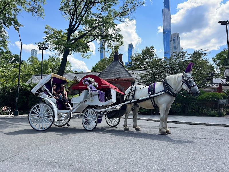 Official Central Park Horse Carriage Guided Tours by NYC Rides photo 2