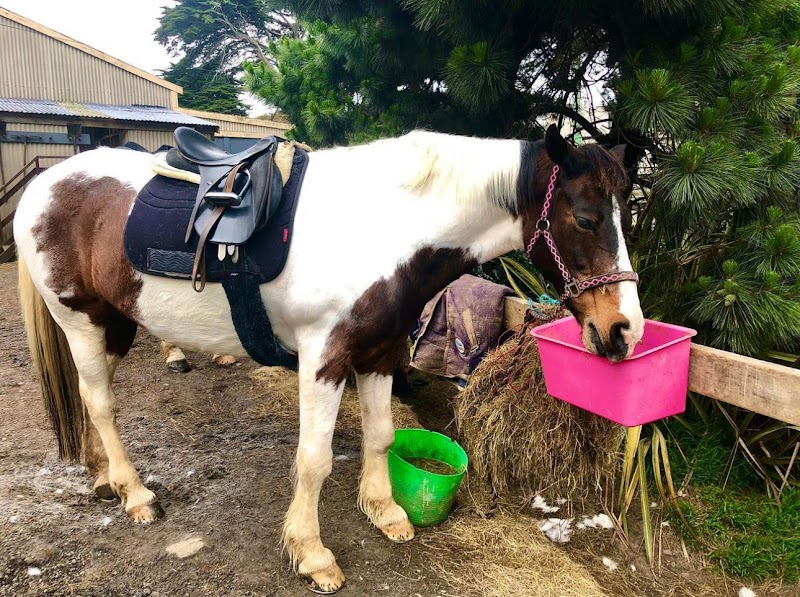 Ohariu Valley Equestrian Centre
