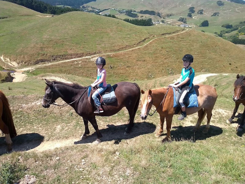 Ohariu Valley Equestrian Centre photo 2