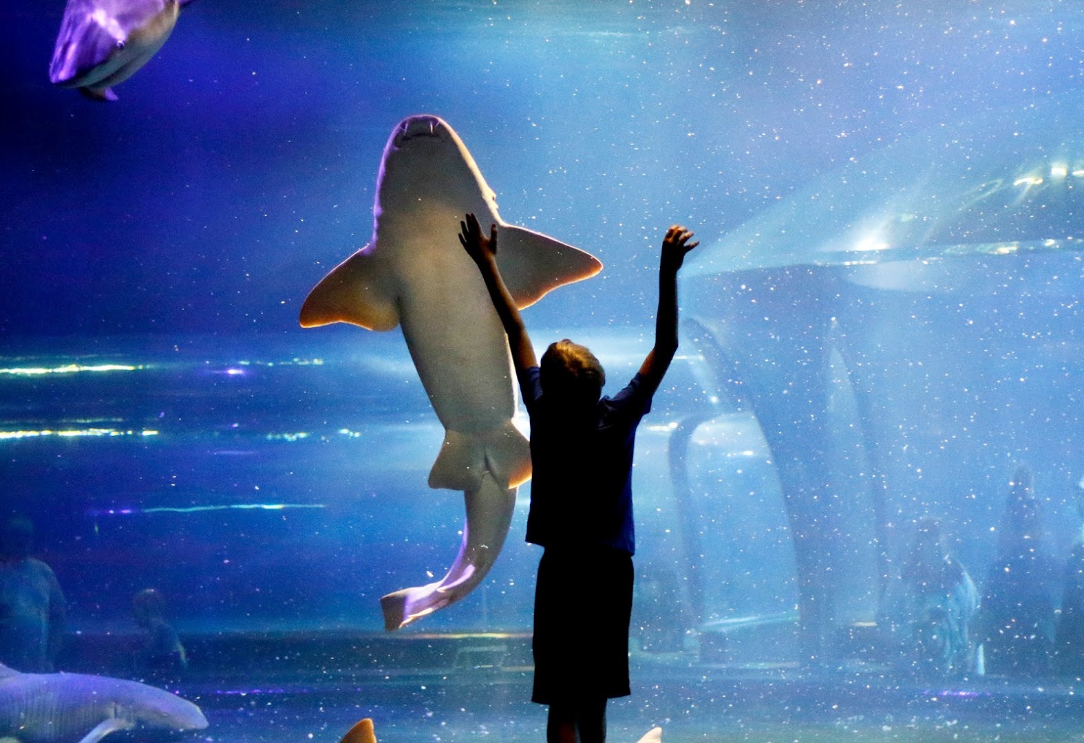 Photo of Oklahoma Aquarium in Oklahoma