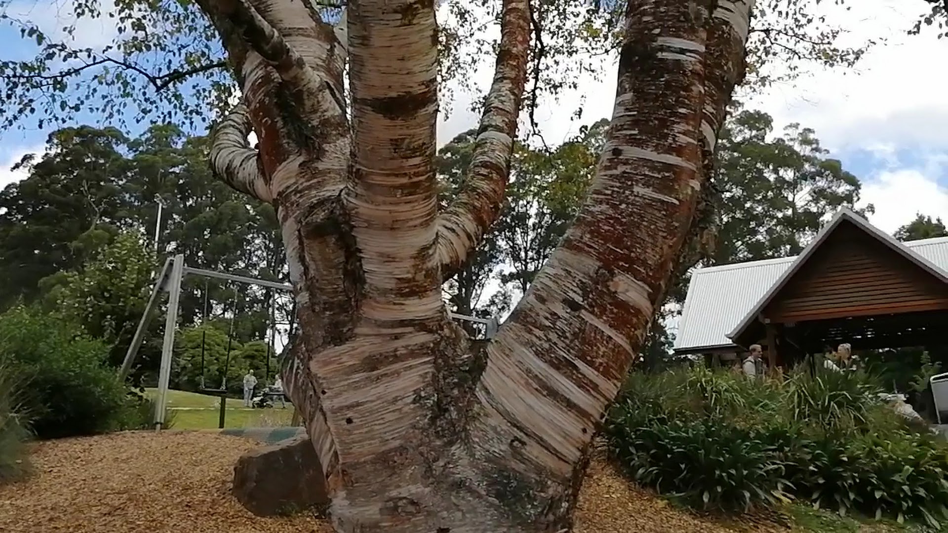 Olinda Playspace photo 2